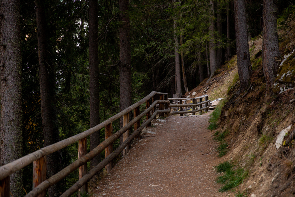 Trail Path