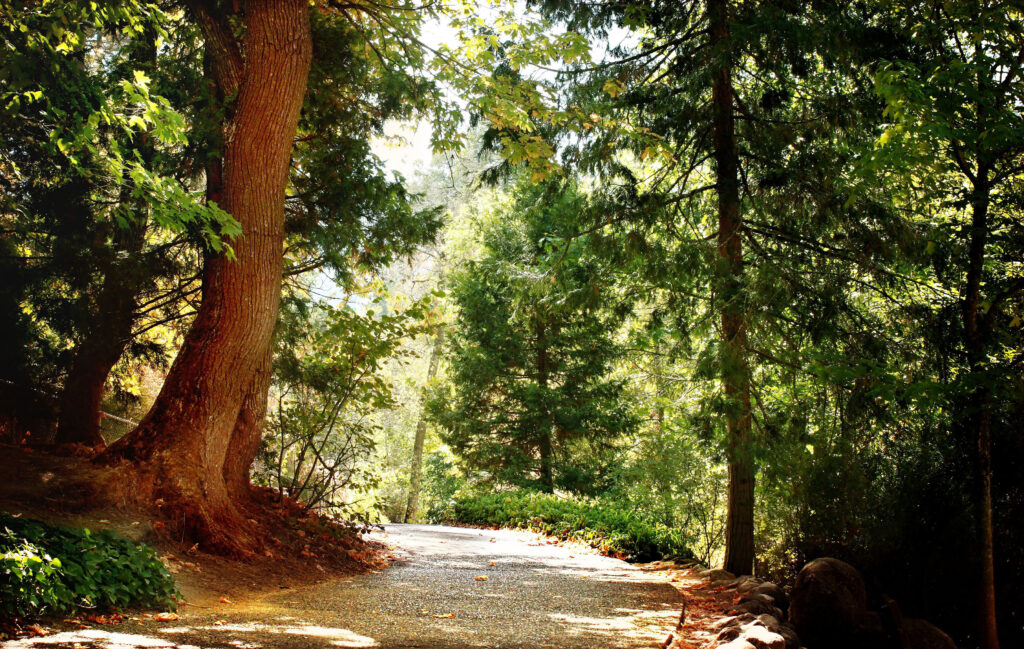 Trail etiquette, hiking