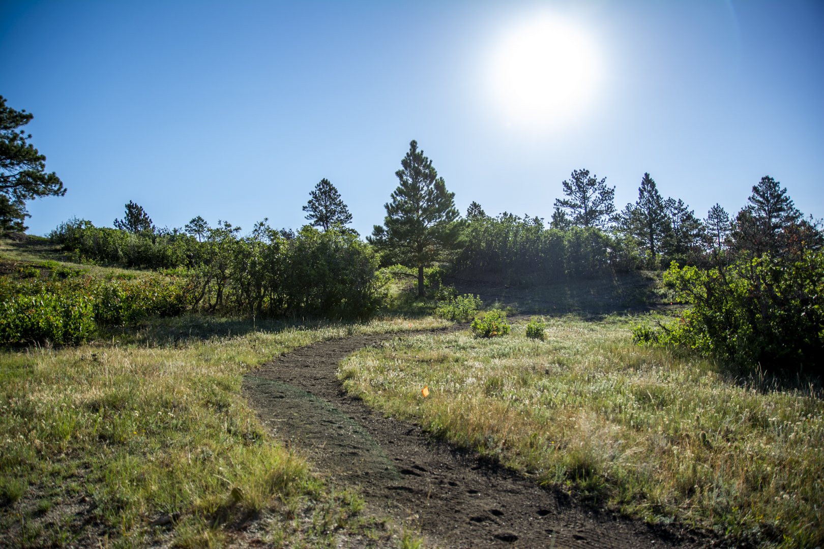 trail curving to the right into trees under a blue sky with sun